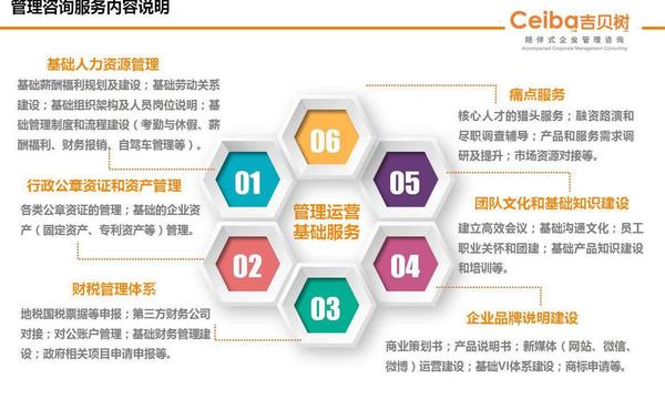 吉貝樹管理咨詢 賦能企業(yè)，構(gòu)筑卓越管理生態(tài)